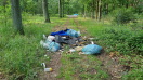 Foto: 2 wilde Deponien 